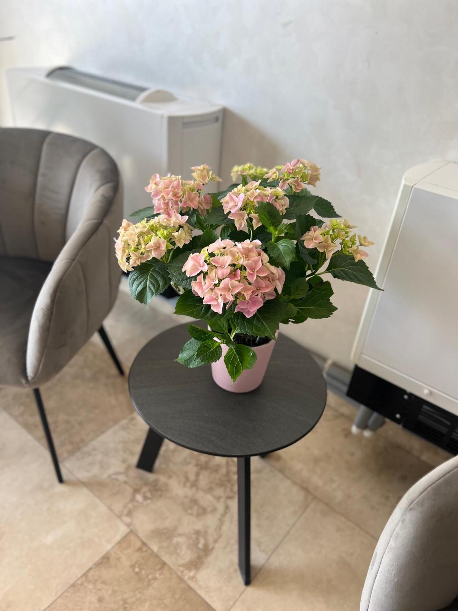 Hotel Del Ponte Targoviste Eksteriør billede